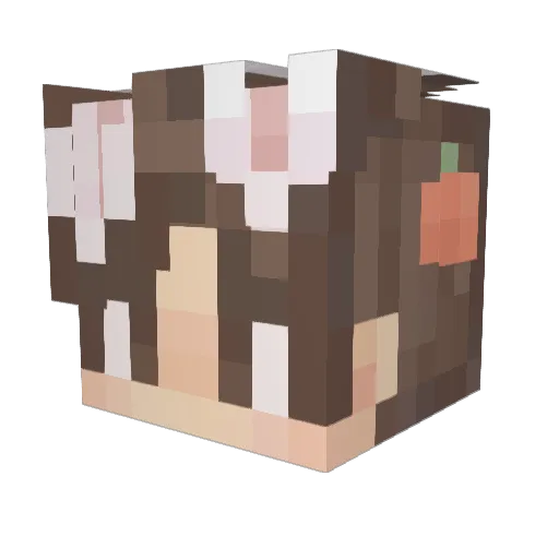 Soft_Flower_ Minecraft avatar head, 3D render