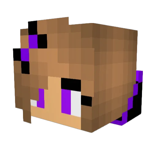 Soft_Walrus Minecraft avatar head, 3D render