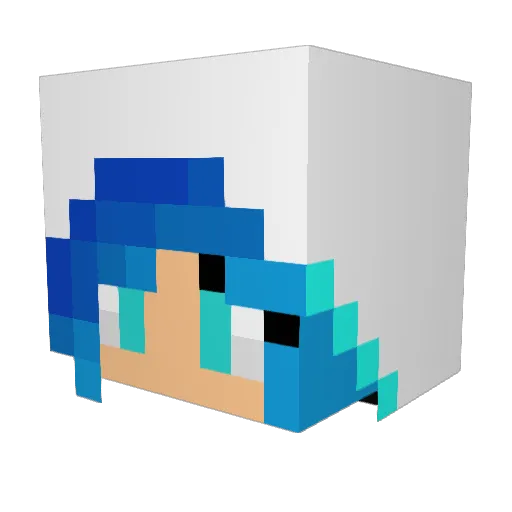 SoftballSurfer Minecraft avatar head, 3D render