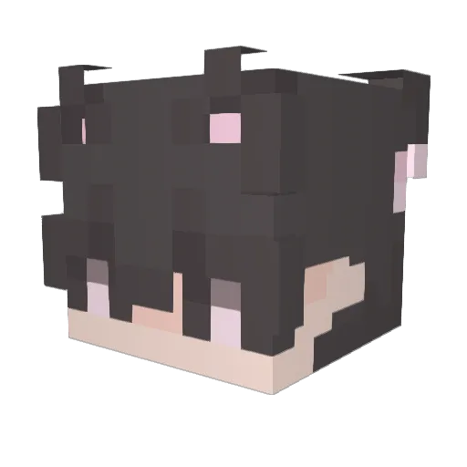 SoftboyAlbus Minecraft avatar head, 3D render