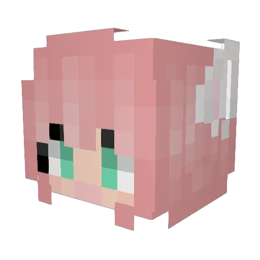 Softbunbun Minecraft avatar head, 3D render