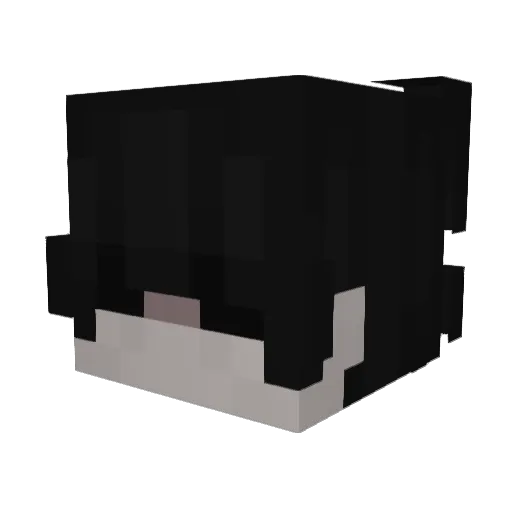 Softcover Minecraft avatar head, 3D render