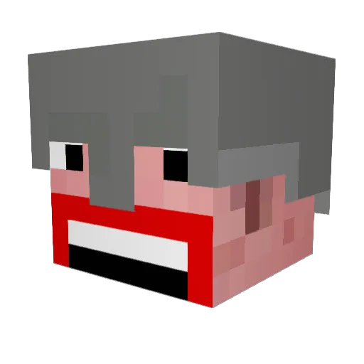 Softgun1234 Minecraft avatar head, 3D render