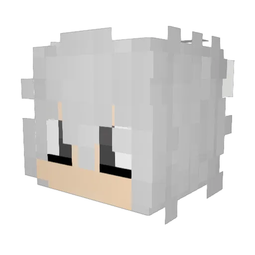 Softricemilk Minecraft avatar head, 3D render