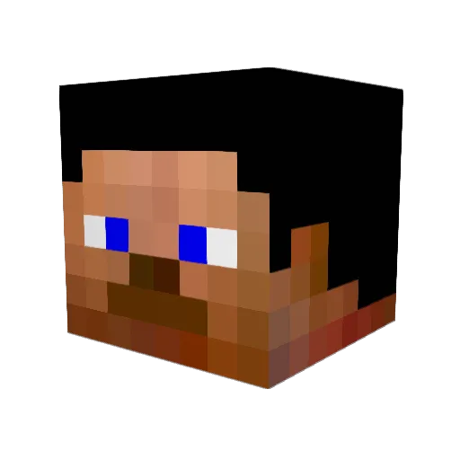 Softthewin Minecraft avatar head, 3D render