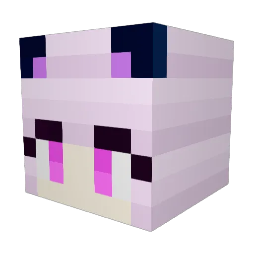 Softy_Shoot Minecraft avatar head, 3D render