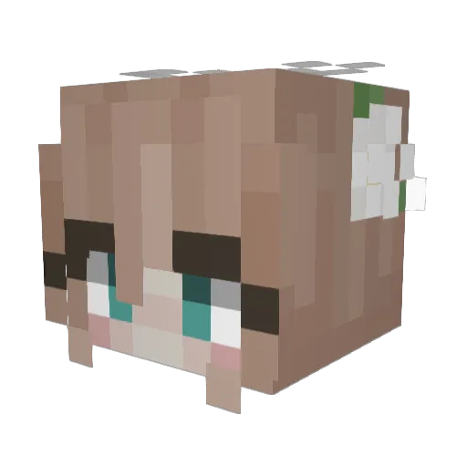 Sofus008 Minecraft avatar head, 3D render