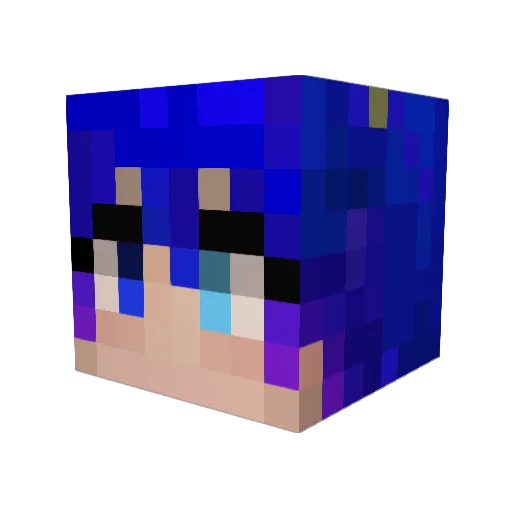 Sofy_2010 Minecraft avatar head, 3D render