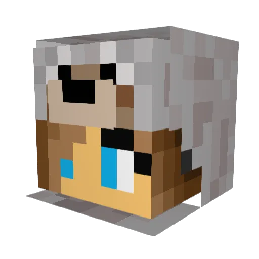 Sofy_Nasty Minecraft avatar head, 3D render