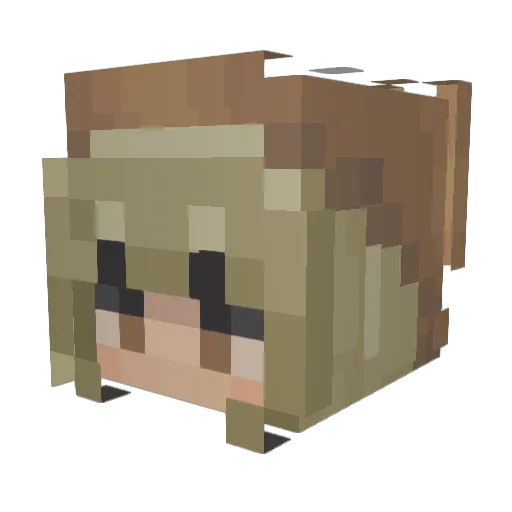 Sogga420 Minecraft avatar head, 3D render