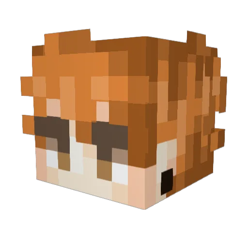 SoggyCanadian_ Minecraft avatar head, 3D render