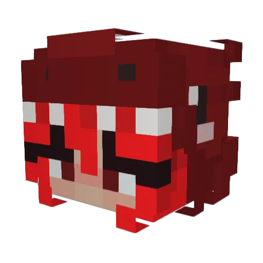 SoggyCreal Minecraft avatar head, 3D render