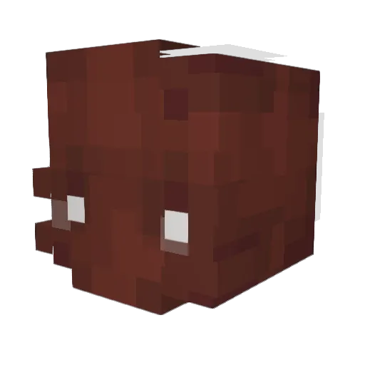 SoggyDogy Minecraft avatar head, 3D render