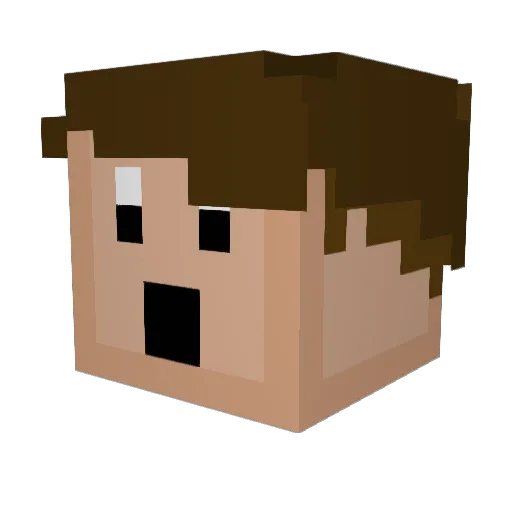 SoggyMan_ Minecraft avatar head, 3D render