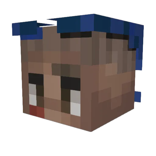 SoggyMeatHandle Minecraft avatar head, 3D render