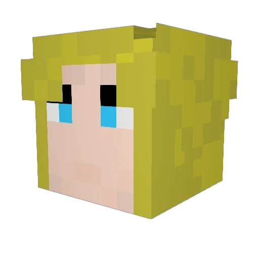 SoggyMop Minecraft avatar head, 3D render