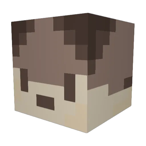 SoggyOtter Minecraft avatar head, 3D render