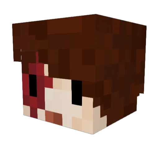 SoggyPaperTow3l Minecraft avatar head, 3D render