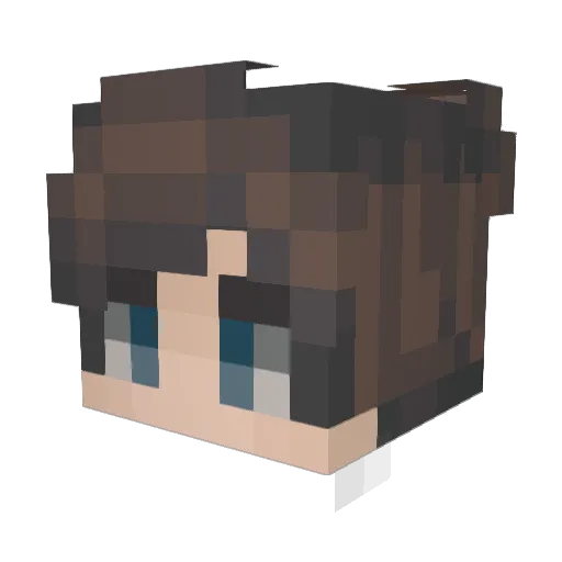 SoggyRoach Minecraft avatar head, 3D render