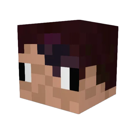 SoggySkidmark Minecraft avatar head, 3D render