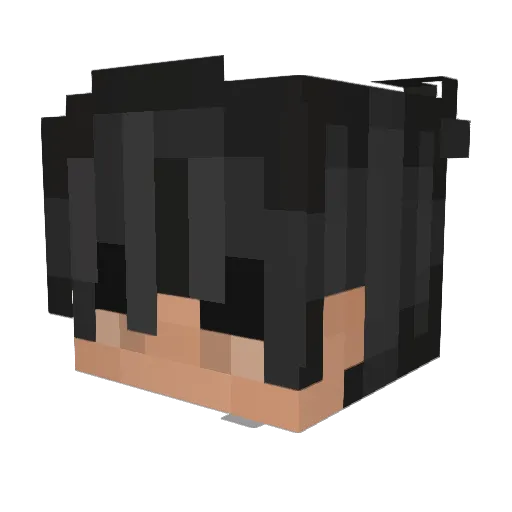 SoggyTamale Minecraft avatar head, 3D render