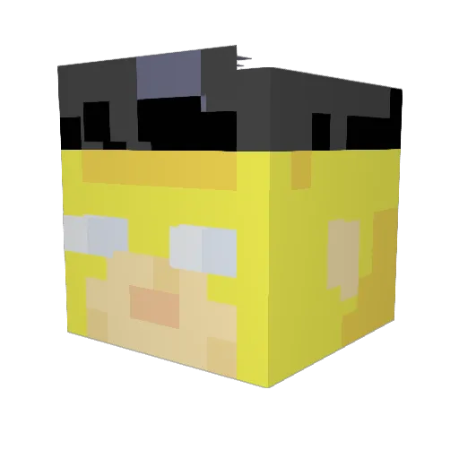 SoggyWoodchip Minecraft avatar head, 3D render