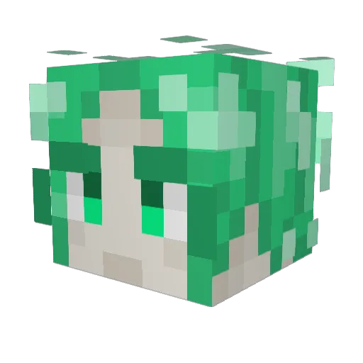 SoggynoodlesTNT Minecraft avatar head, 3D render