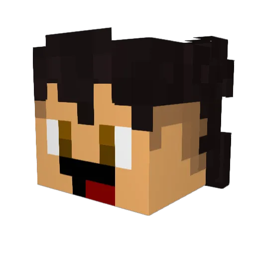 SohJorgeMesmo78 Minecraft avatar head, 3D render