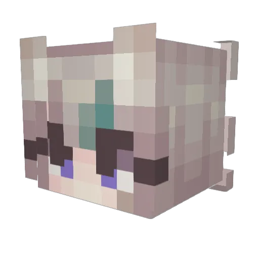 Sohai487 Minecraft avatar head, 3D render