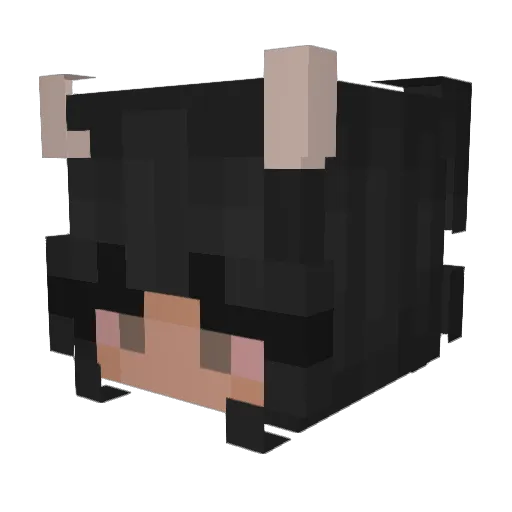 SohamLikesShyla Minecraft avatar head, 3D render