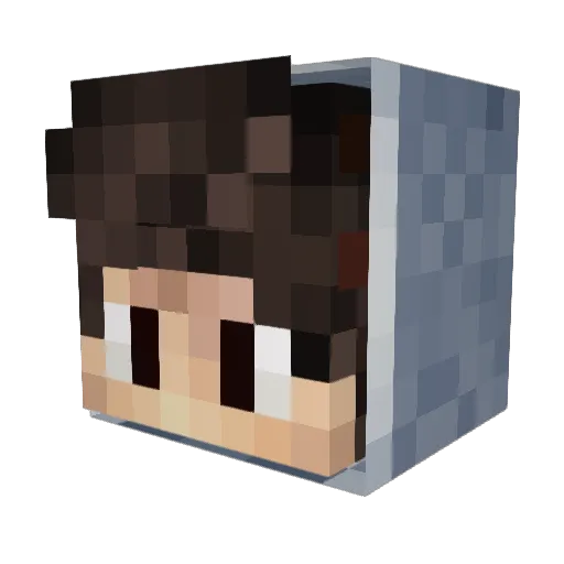 Sohnemensch Minecraft avatar head, 3D render