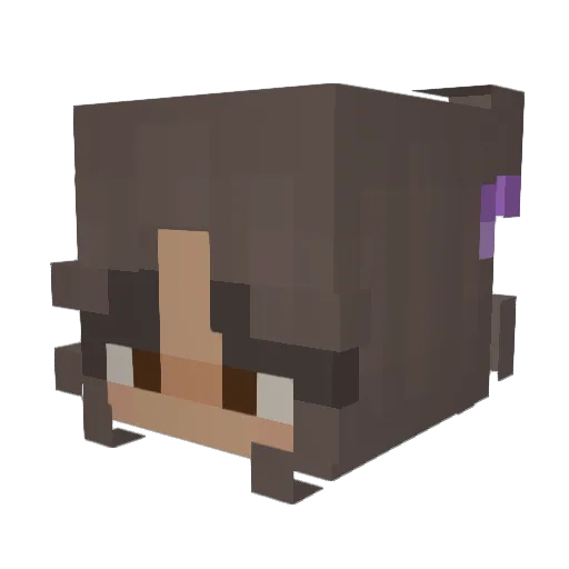 Sohpheeuh Minecraft avatar head, 3D render