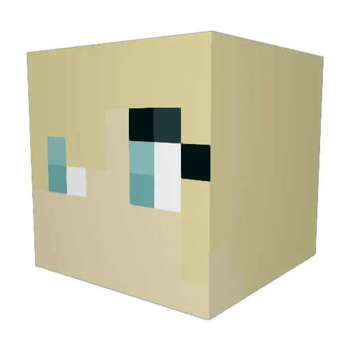 Soijapullav Minecraft avatar head, 3D render