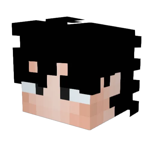 Soiledapple1 Minecraft avatar head, 3D render