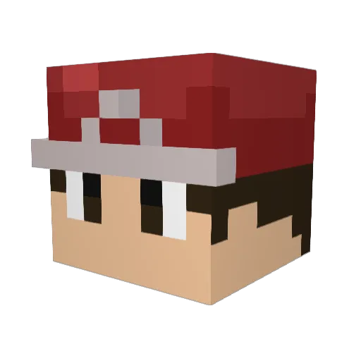 Soilon11 Minecraft avatar head, 3D render