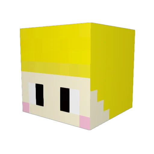 Soje1023 Minecraft avatar head, 3D render