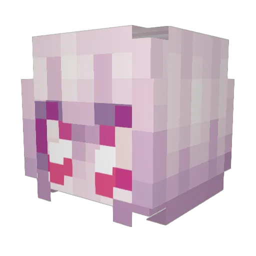 Sojka73 Minecraft avatar head, 3D render