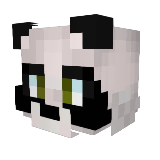 Soka_SDR Minecraft avatar head, 3D render