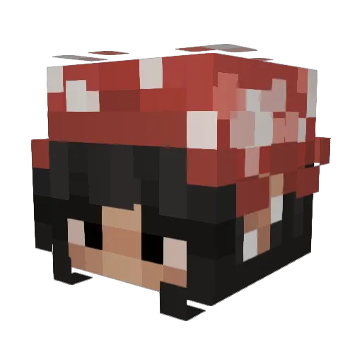 Sokahx Minecraft avatar head, 3D render