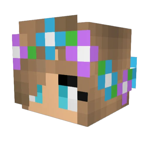 Sokkeltje Minecraft avatar head, 3D render