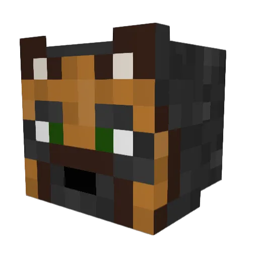 Sokker2011 Minecraft avatar head, 3D render