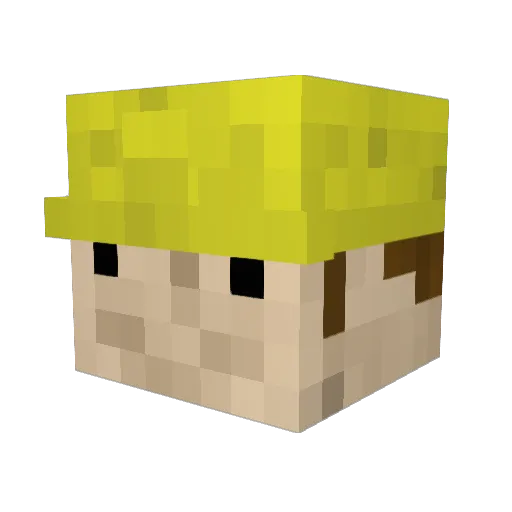 Soko34 Minecraft avatar head, 3D render