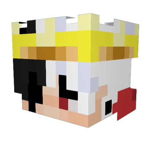 Sokolik2137 Minecraft avatar head, 3D render