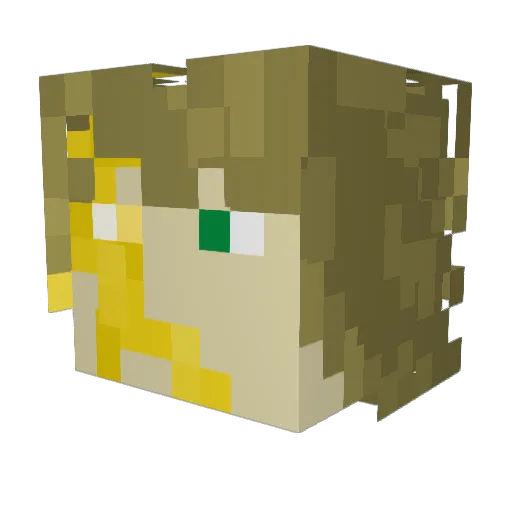 Sokudo_R Minecraft avatar head, 3D render