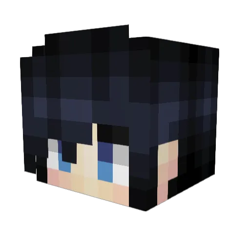 Sol107 Minecraft avatar head, 3D render