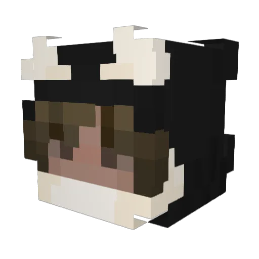 Sol4ire Minecraft avatar head, 3D render