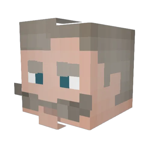SolByte_ Minecraft avatar head, 3D render