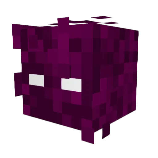 SolCaecans Minecraft avatar head, 3D render