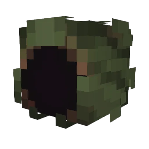 Minecraft-Avatar von SolNixifer: Kopf als 3D-Render