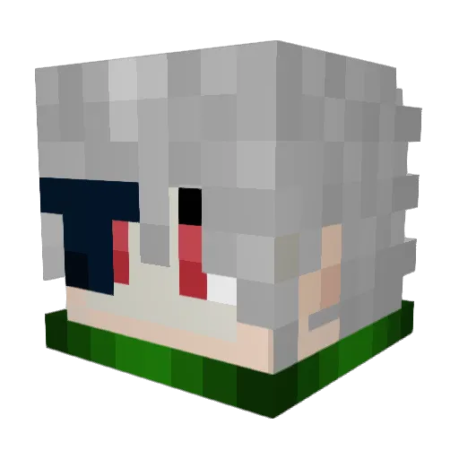 SolReifnir Minecraft avatar head, 3D render